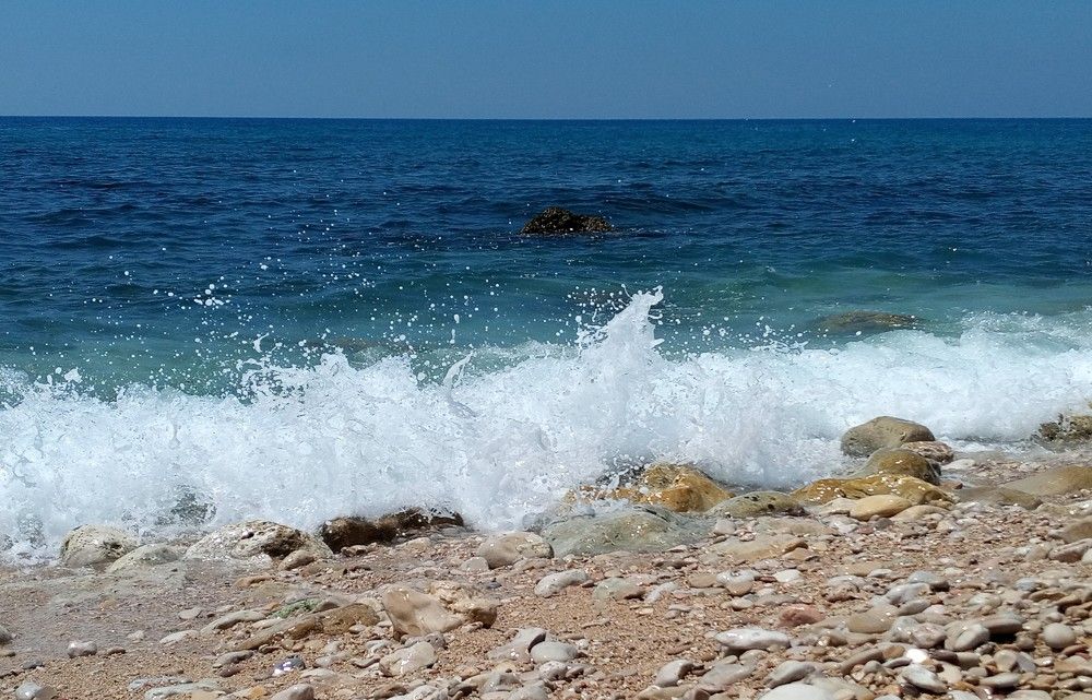 Photograph by Layal Farah