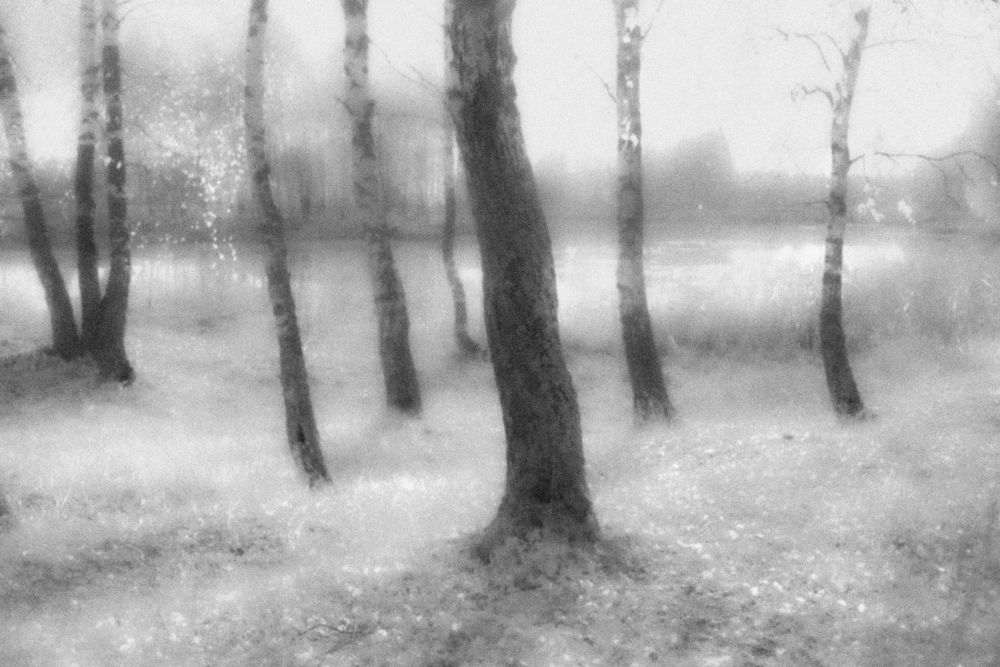 Photograph by Валентин Завьялов