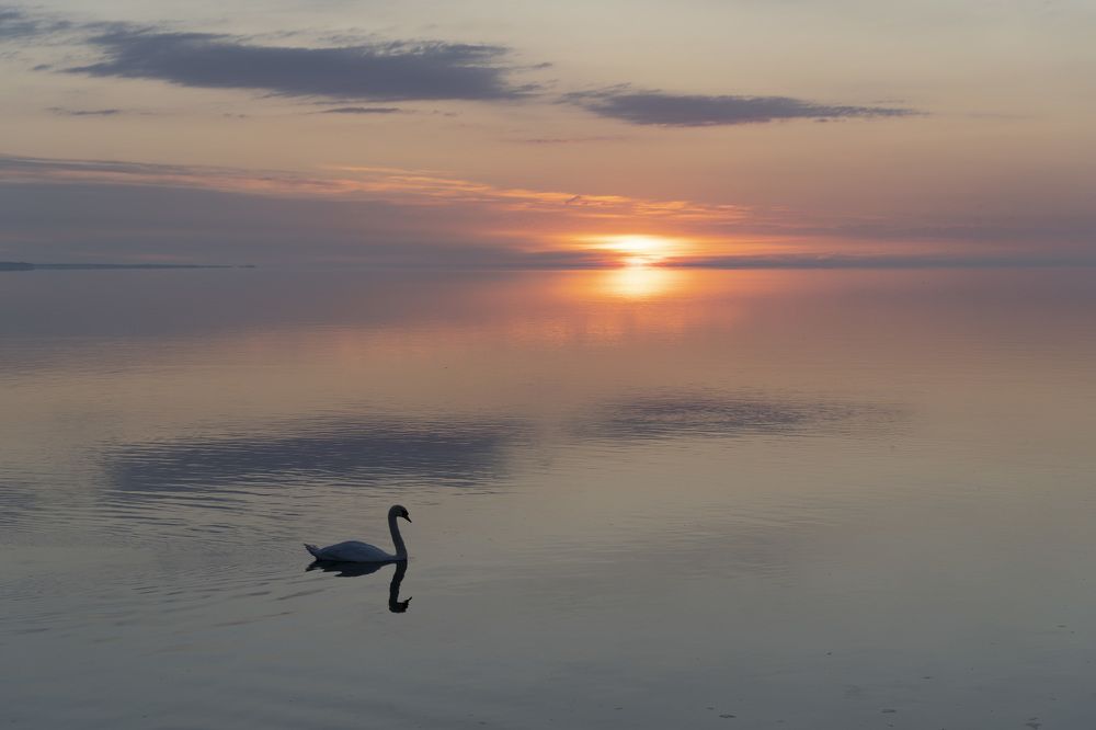 Photograph by косяк