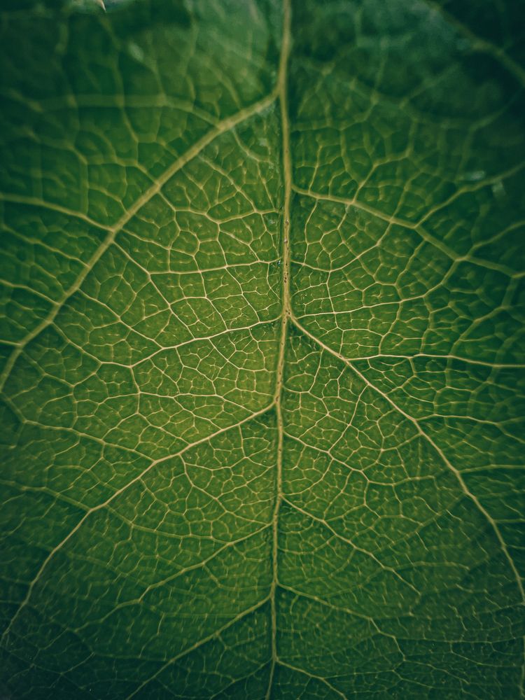 Photograph by Беляев Евгений