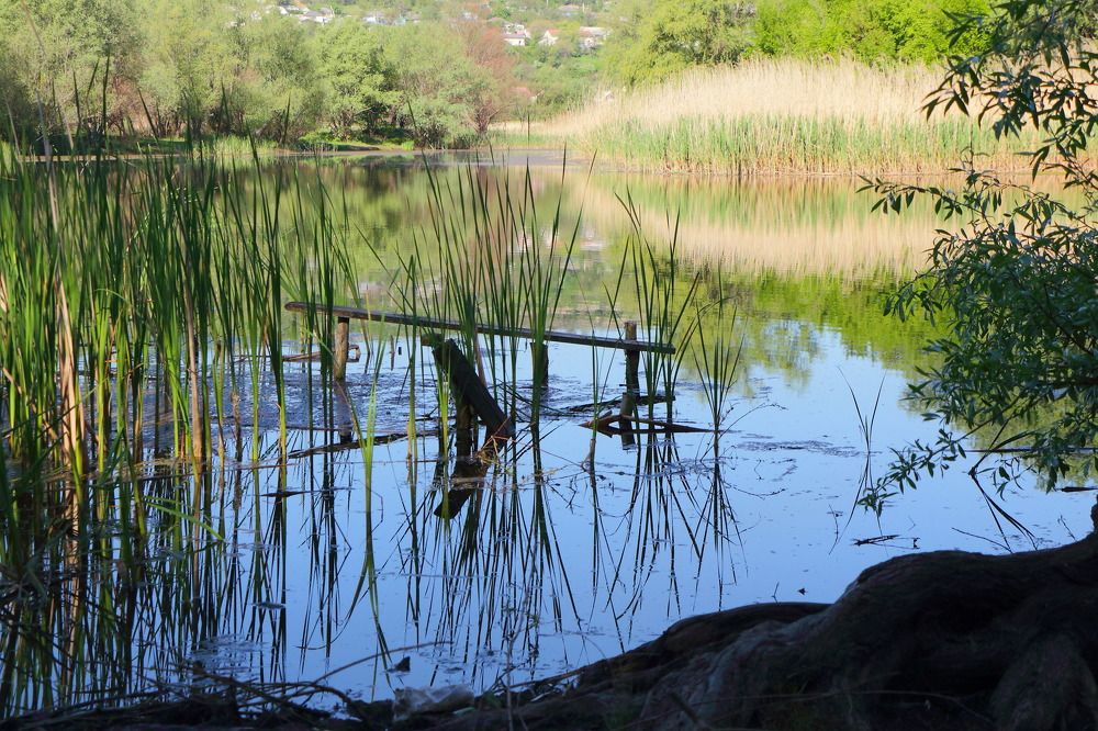 Photograph by Сергей Малыхин