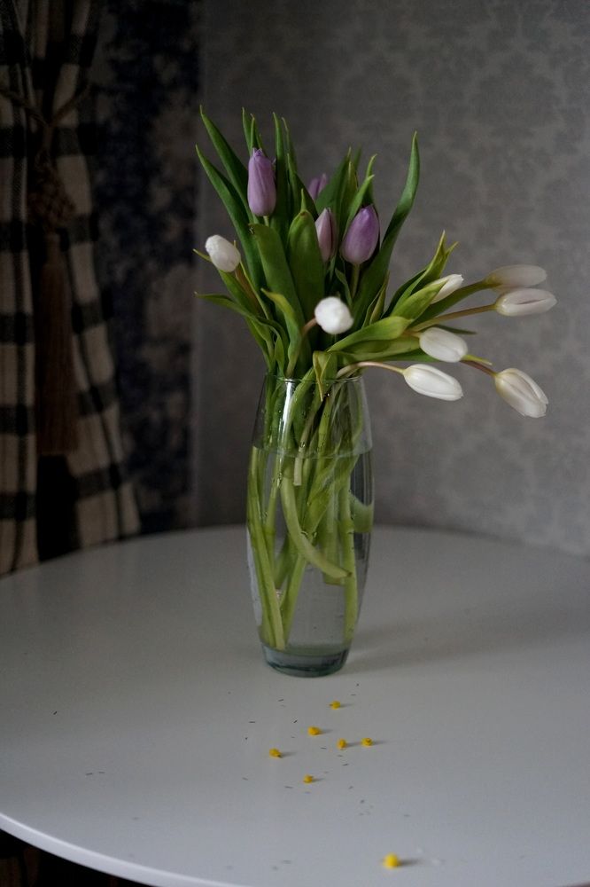 Photograph by Наталья Серёгина