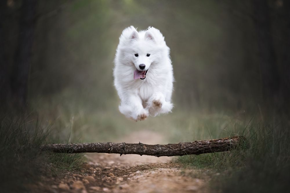 Фотография автора Rut Casanellas