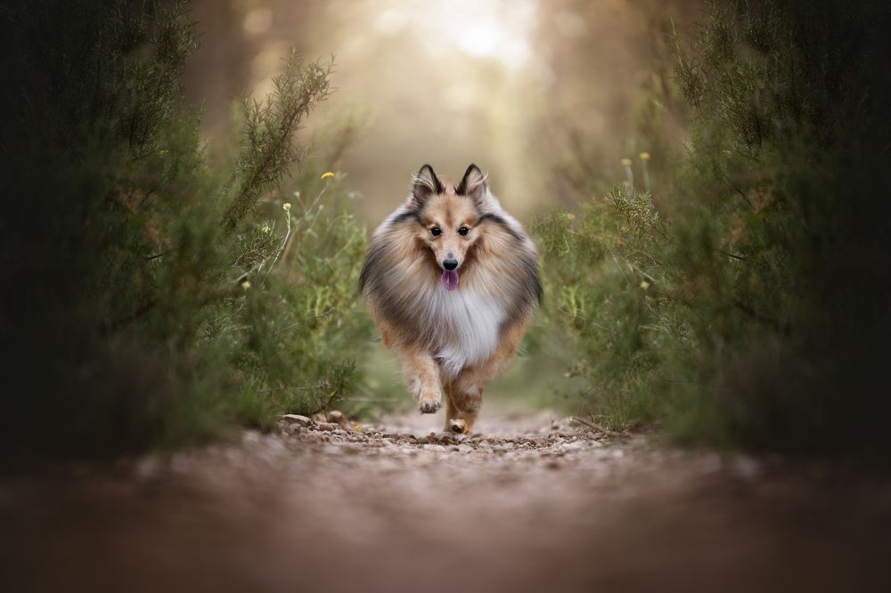 Фотография автора Rut Casanellas