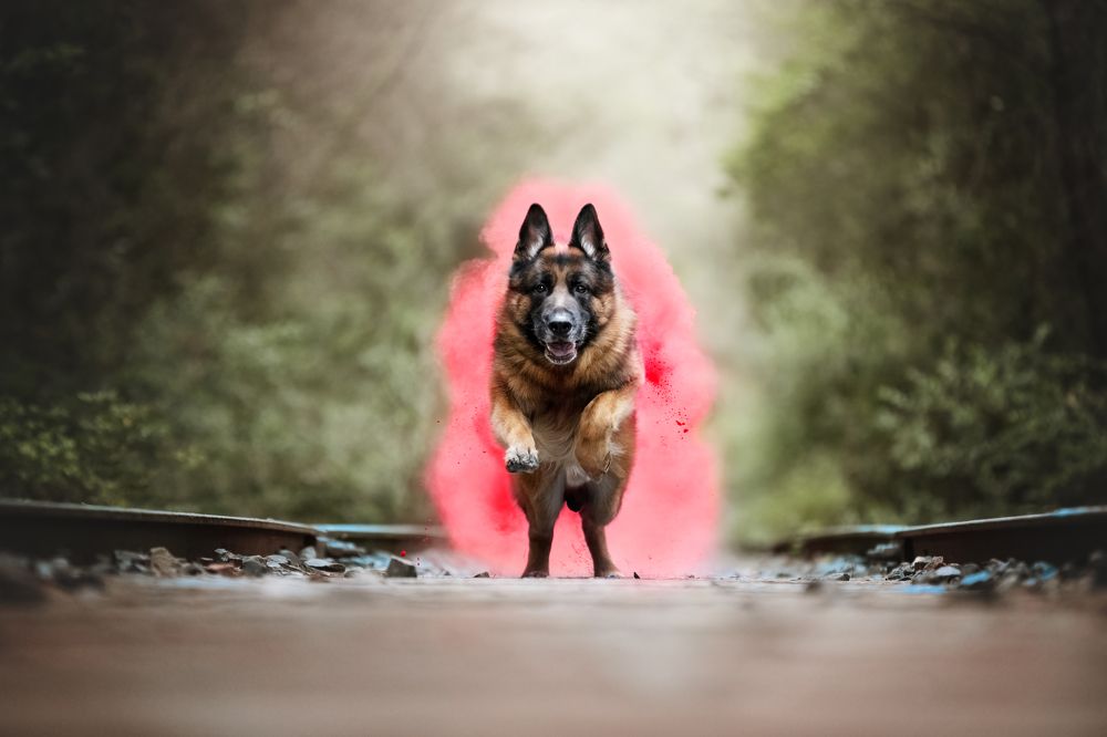 Фотография автора Rut Casanellas