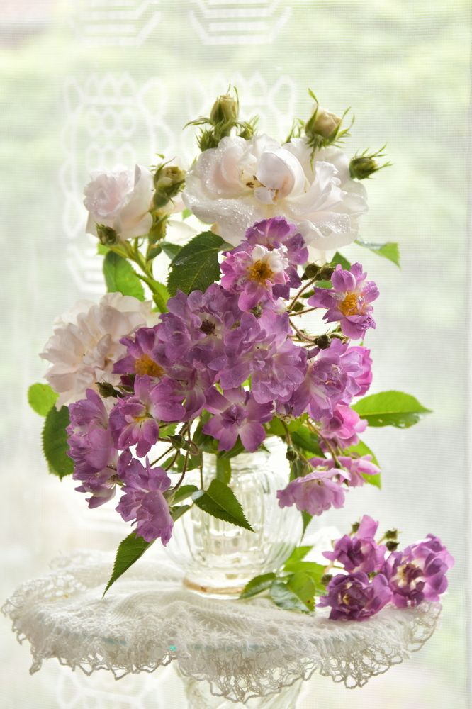 Photograph by Ирина Алексеева