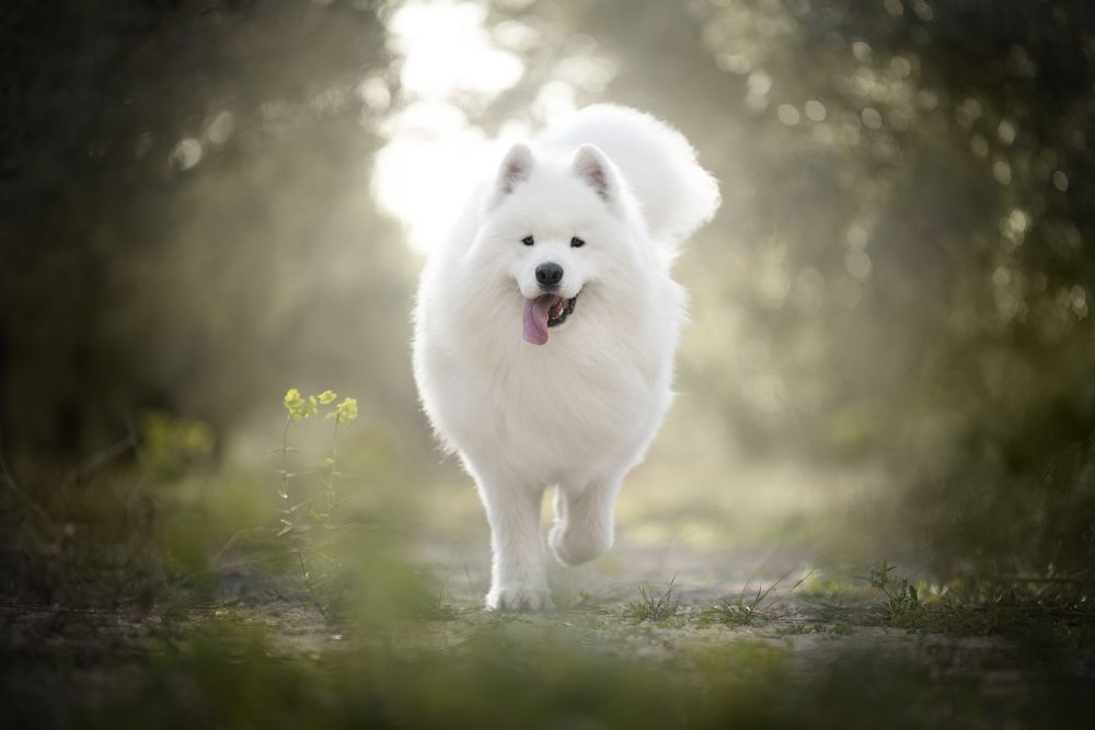 Фотография автора Rut Casanellas