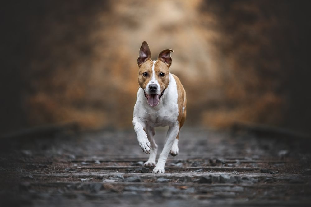 Фотография автора Rut Casanellas