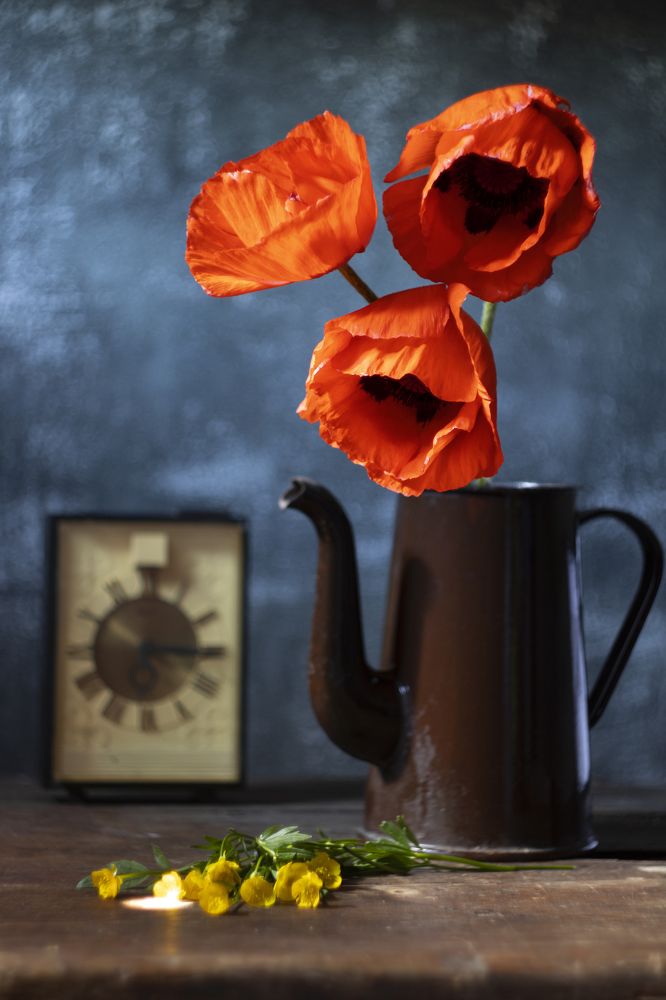 Photograph by Елена Коровкина