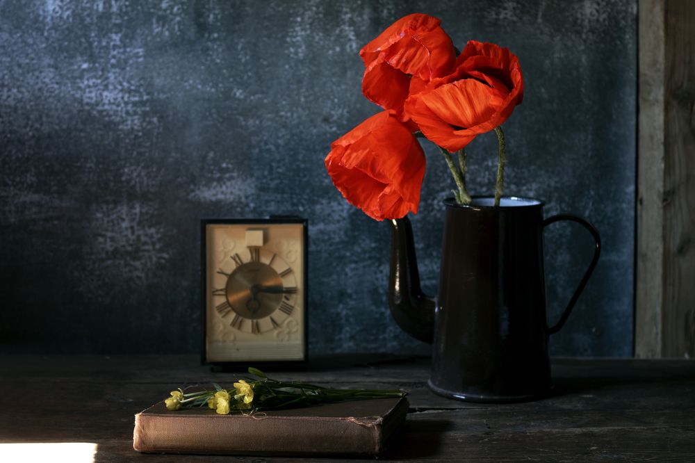 Photograph by Елена Коровкина