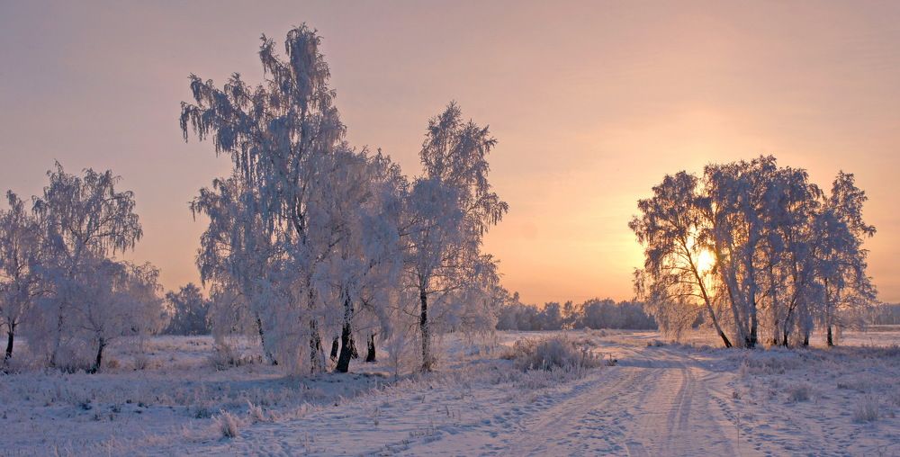 Photograph by сергей