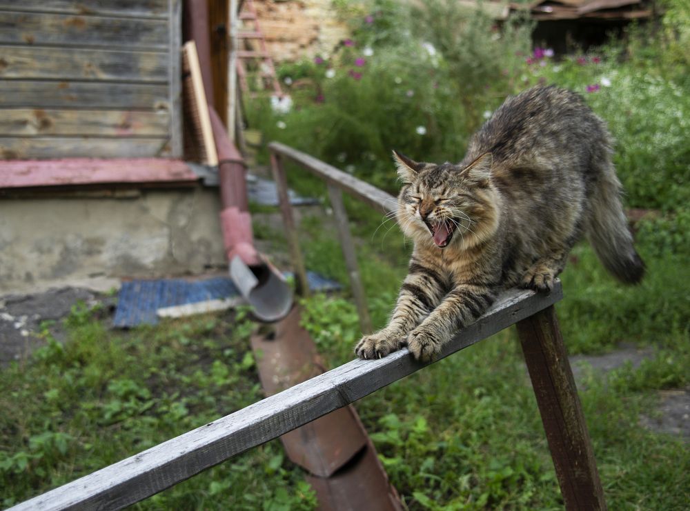 Photograph by Сергей Козлов