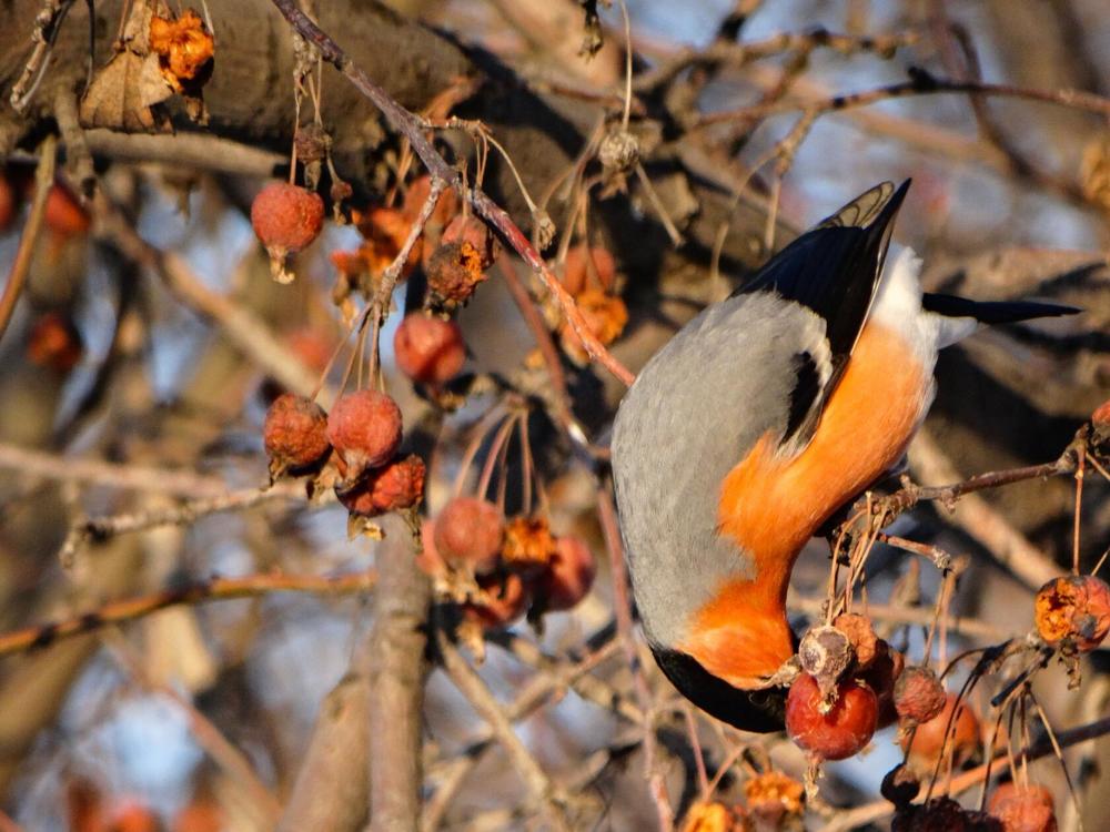 Photograph by Анжелика Трошина