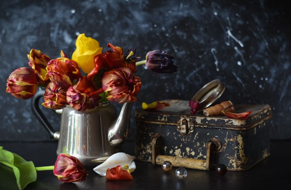 Photograph by Ирина Никульча