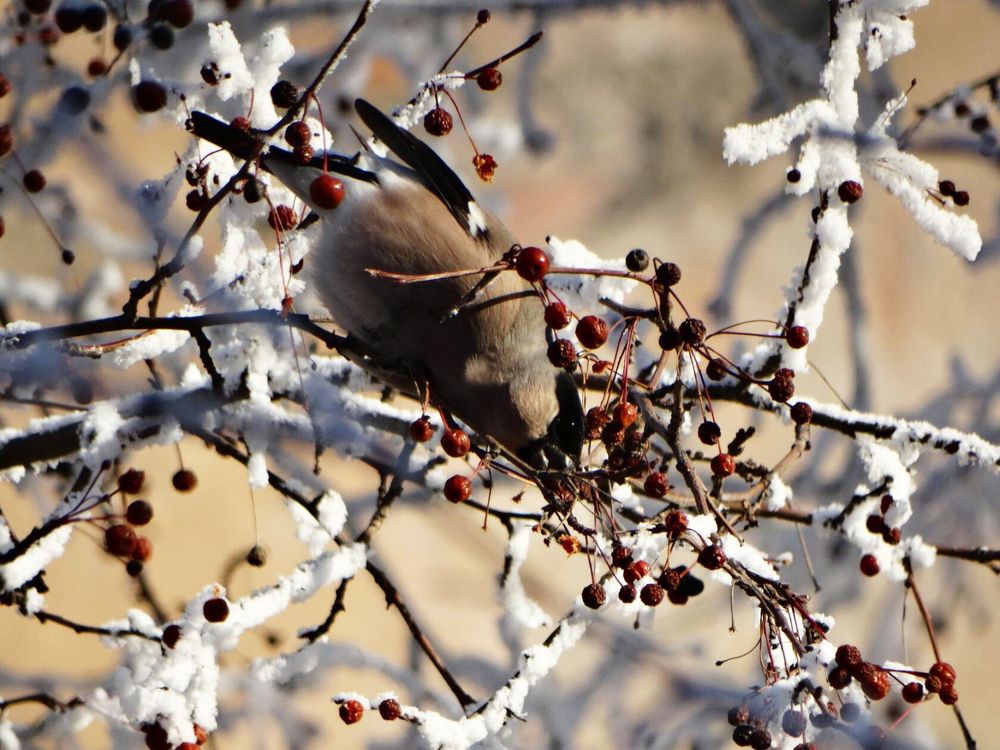 Photograph by Анжелика Трошина