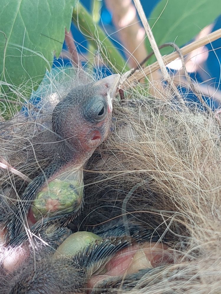 Photograph by Анна Малютина