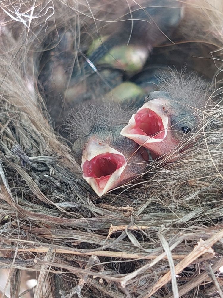 Photograph by Анна Малютина