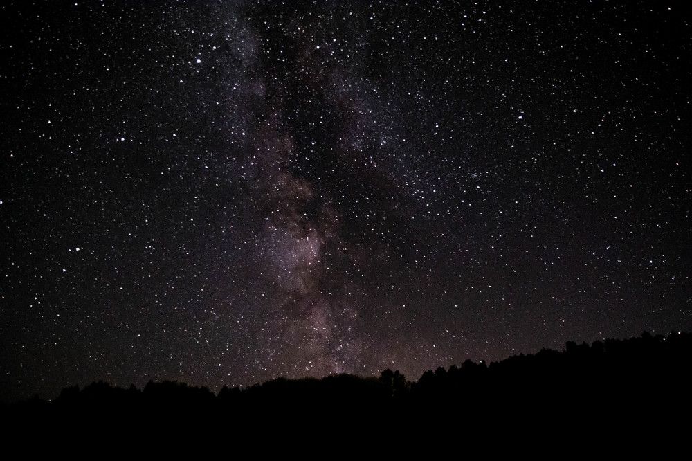 Photograph by Алексей Митрофанов