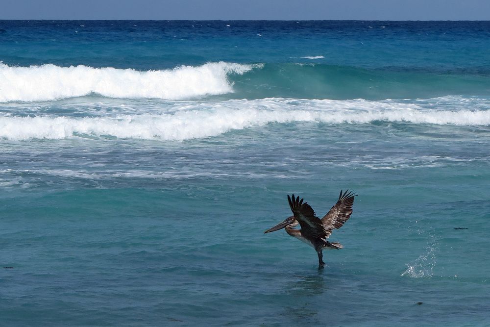 Photograph by Руслан Орлов