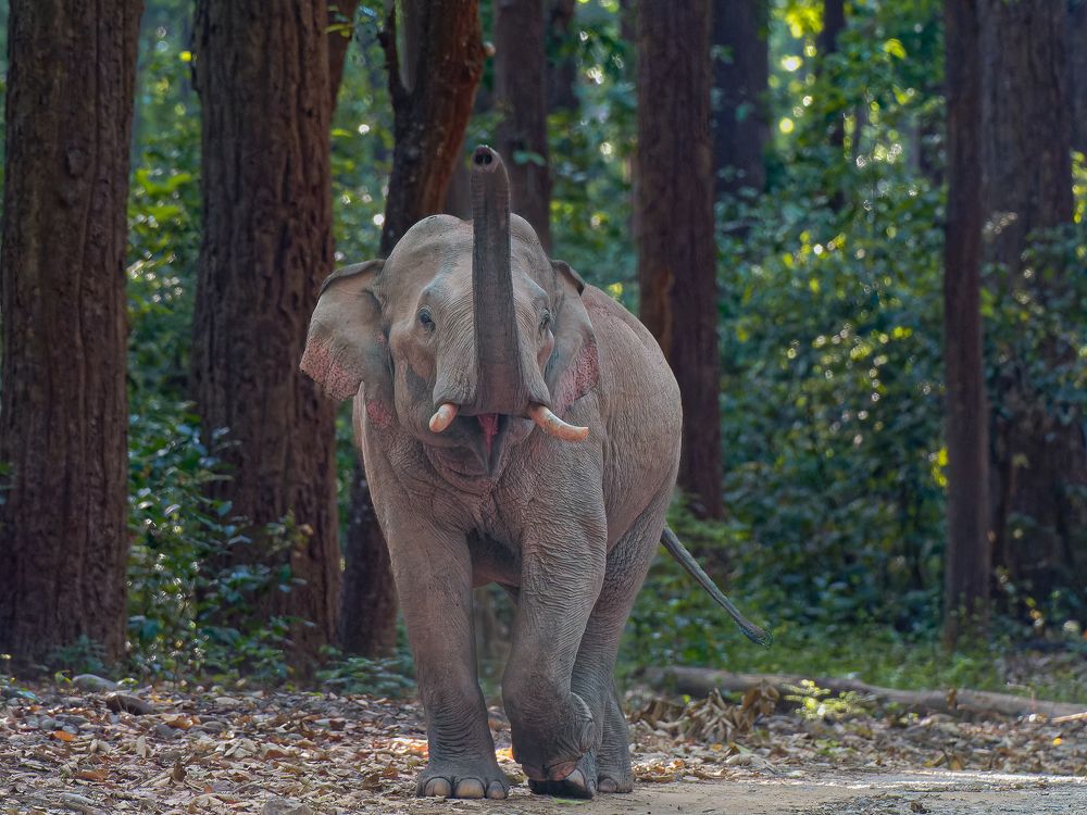 Photograph by RAJESH MAHAJAN