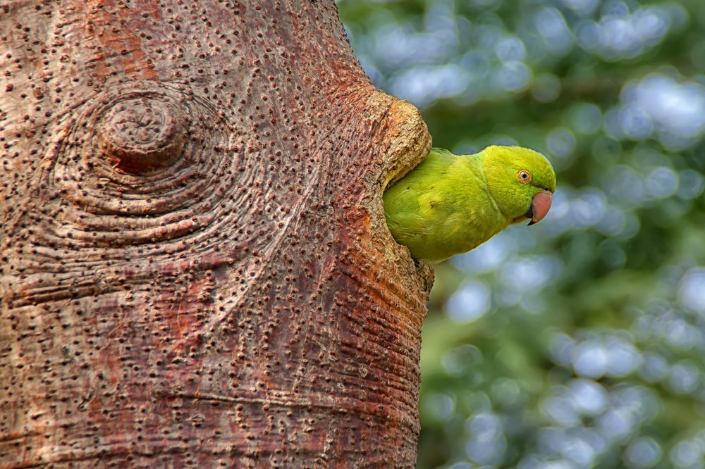 Photograph by Павел Колеснев