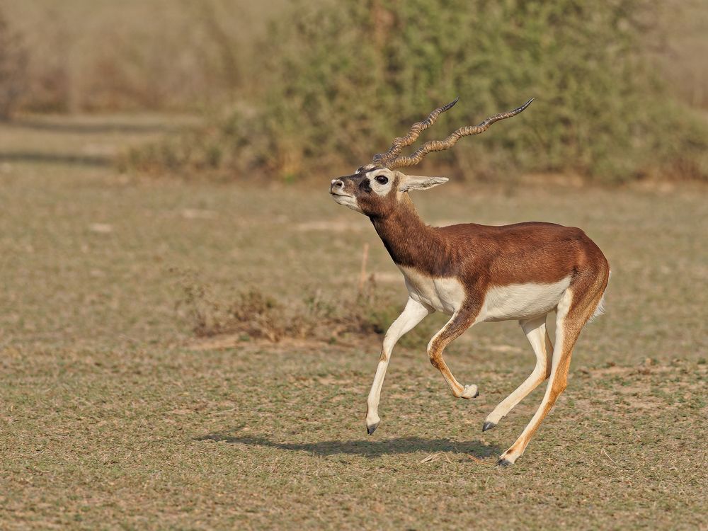 Photograph by RAJESH MAHAJAN