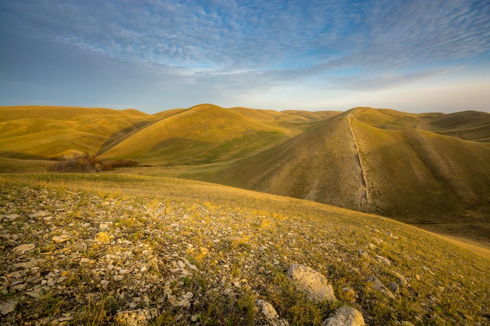 Photograph by Жданов Дмитрий