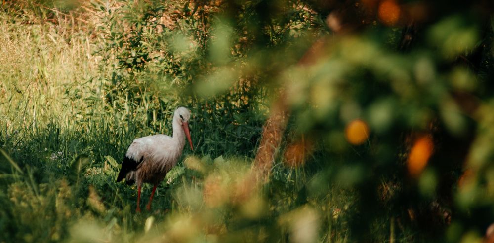 Photograph by Александр Наракшин