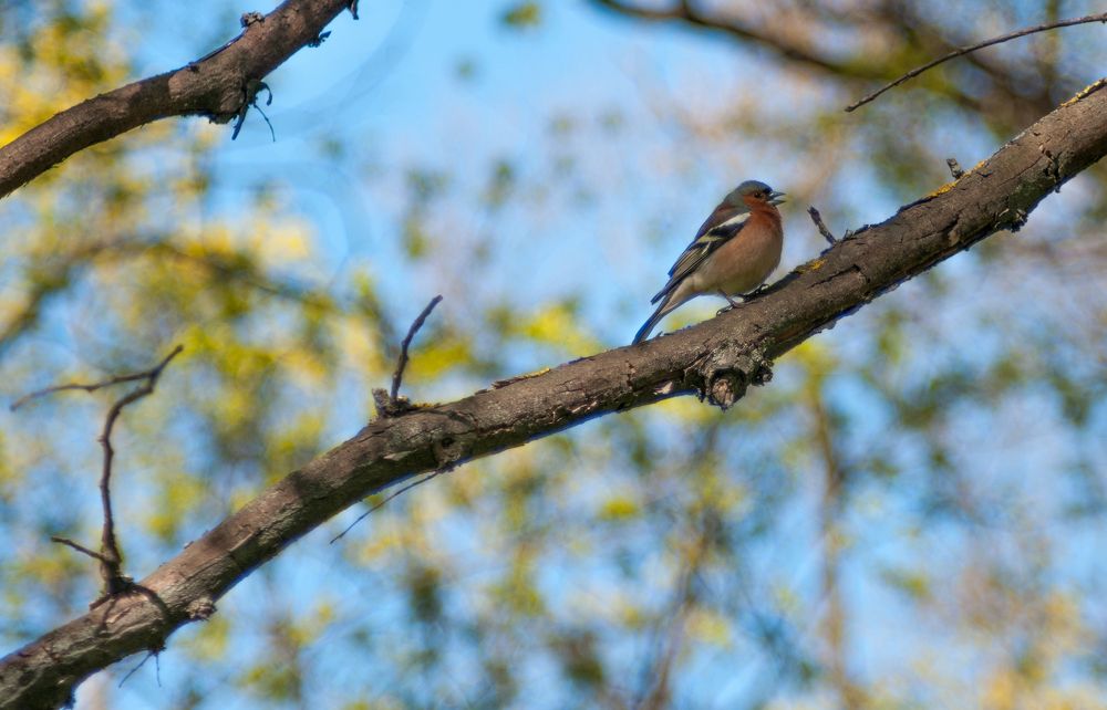 Photograph by Александр Наракшин