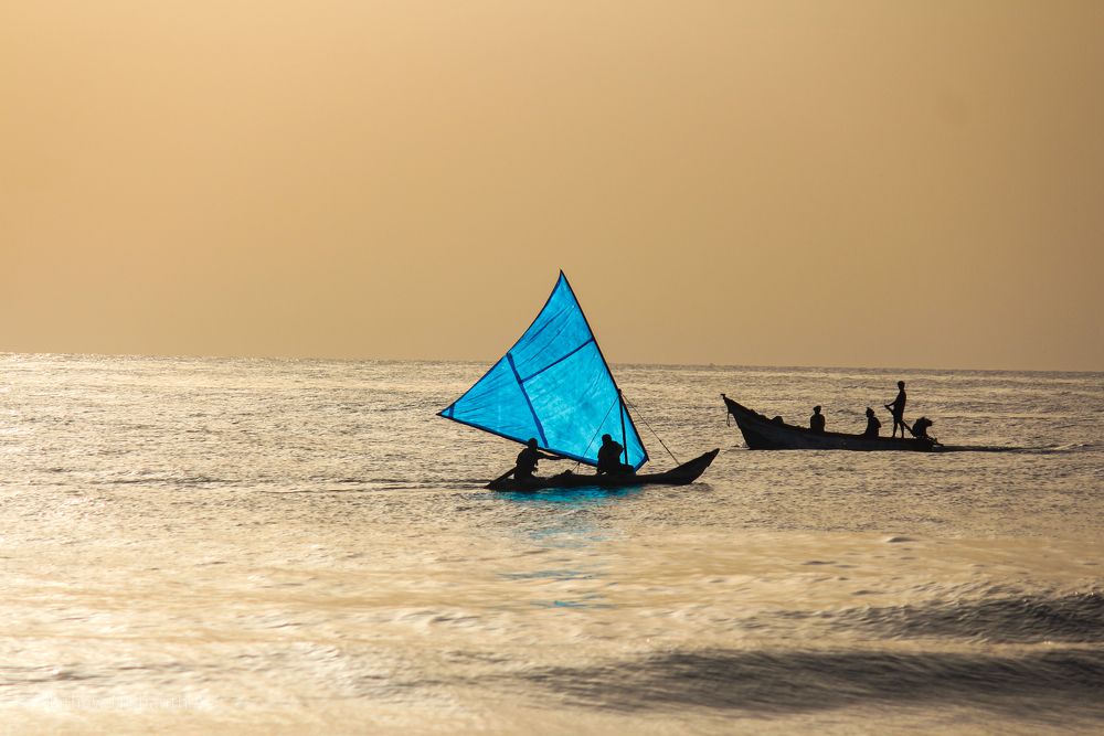 Photograph by Mathew Nishanth A