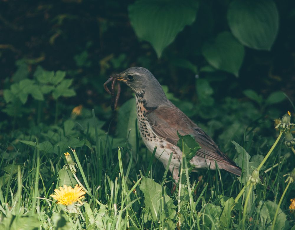 Photograph by Александр Наракшин