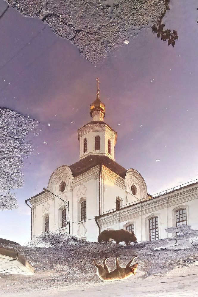 Photograph by Анастасия Егорова