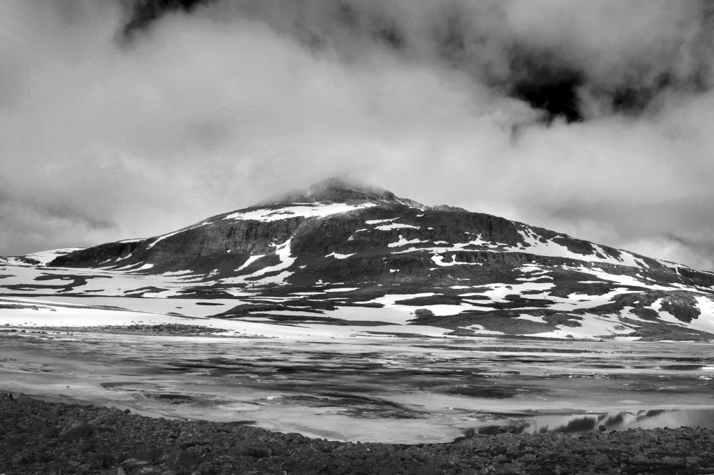 Photograph by Aušrinė Bui