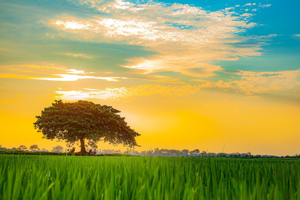 Photograph by Tây Bắc Gọi Tên