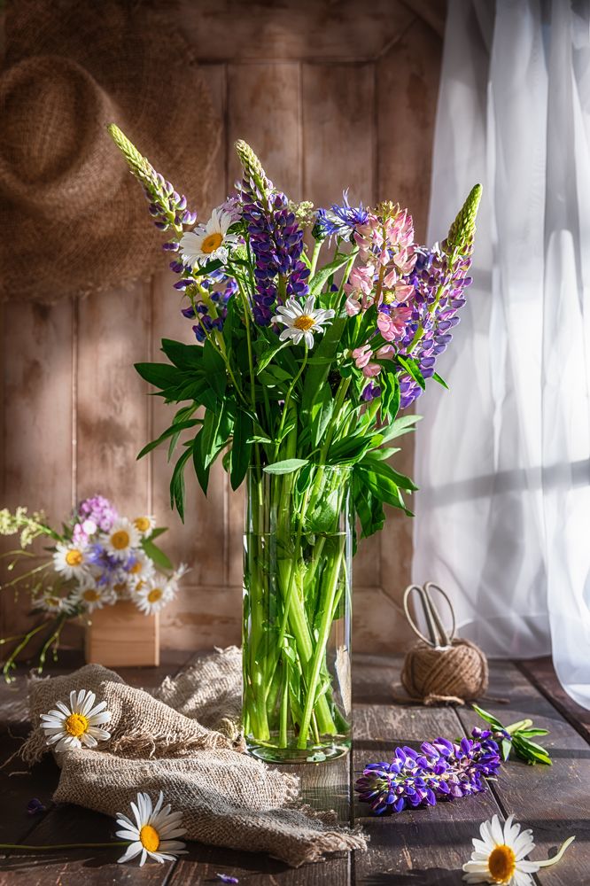 Photograph by Ольга Ильина