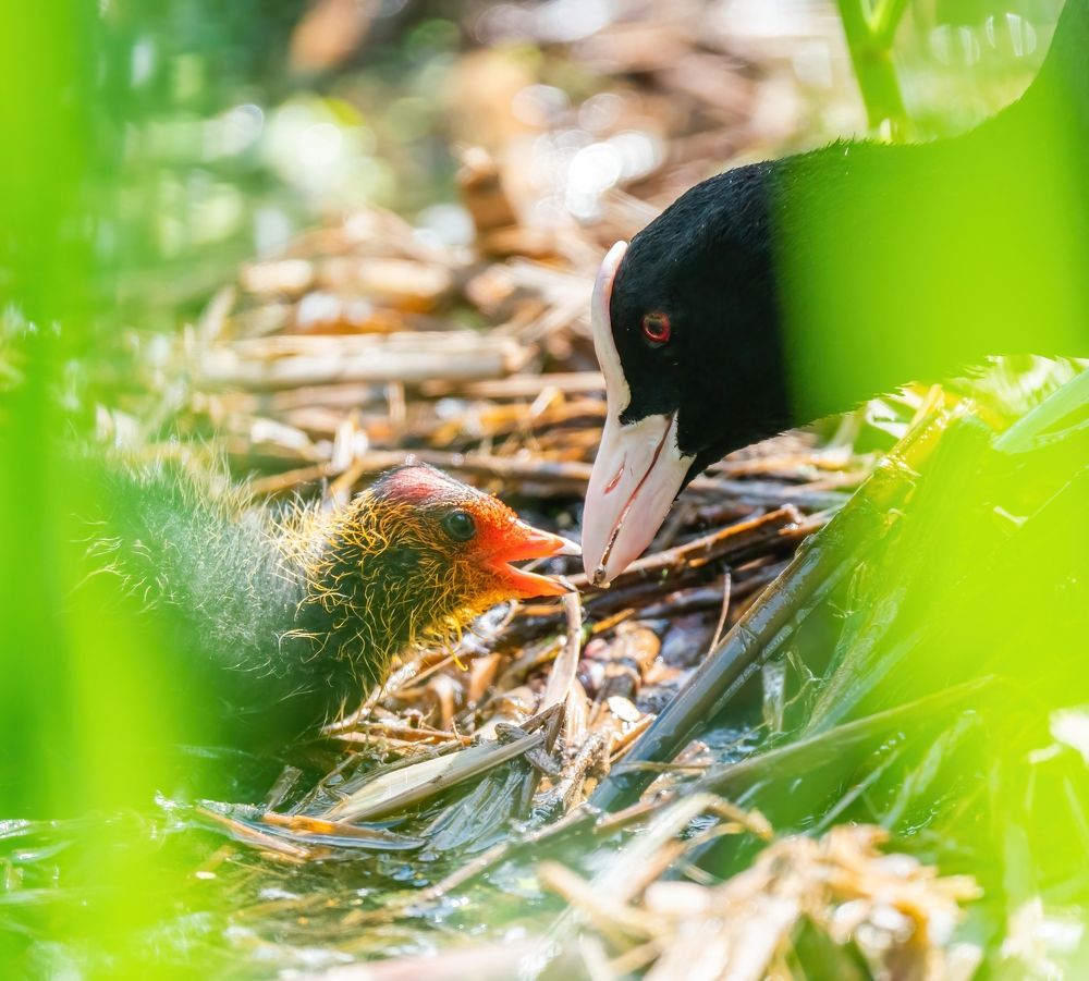 Photograph by Константин Дэм