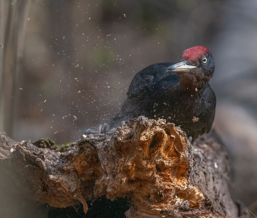 Photograph by Константин Дэм