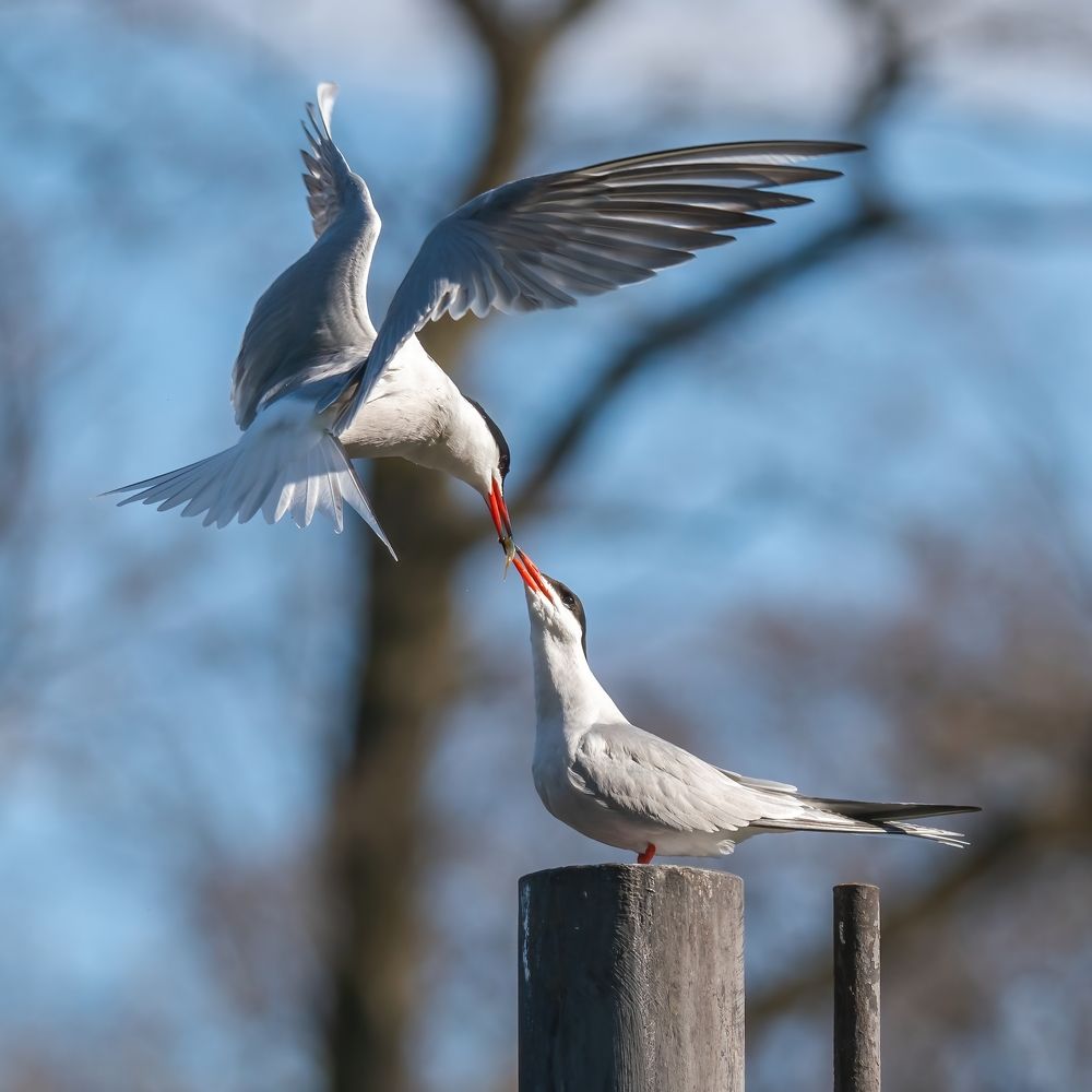 Photograph by Константин Дэм