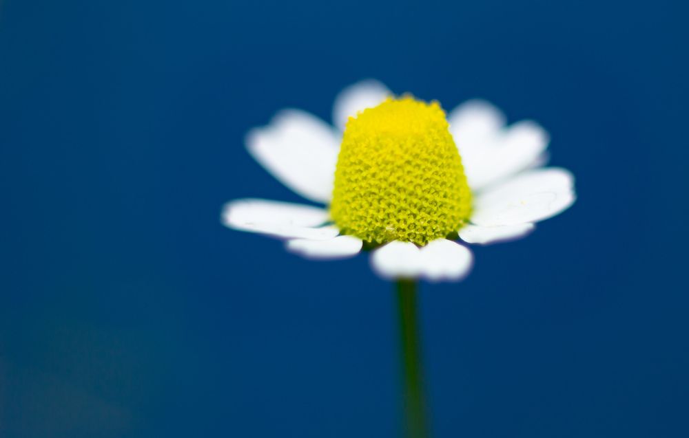 Photograph by Сергей Антонюк