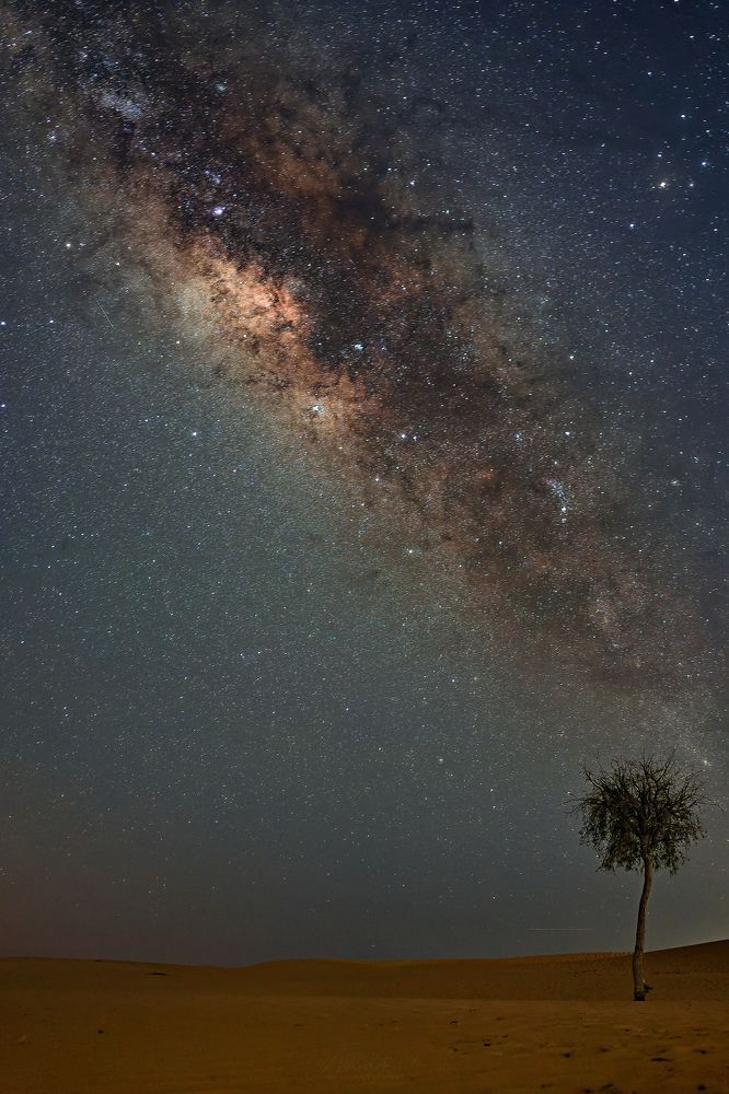 Photograph by Abhishek N