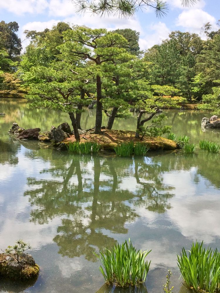 Photograph by Анвар Сабиров