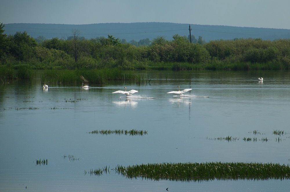 Photograph by Василий Быстрицкий