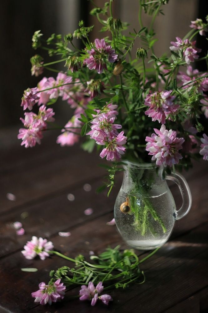 Photograph by Рыбак Лариса