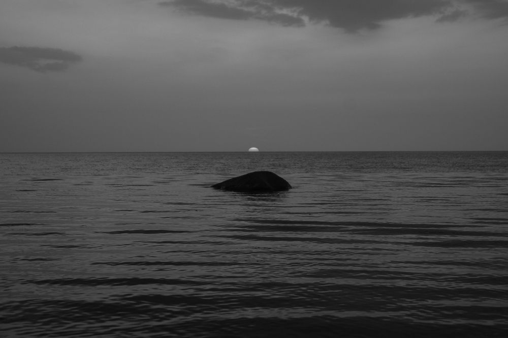 Photograph by Оксана Кобинец