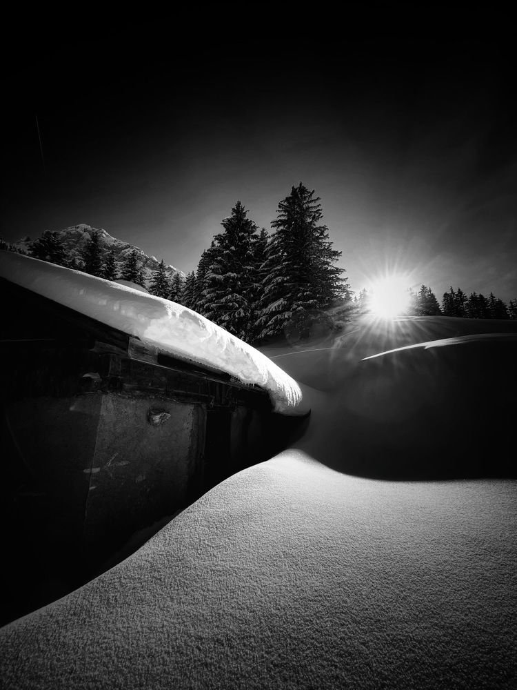 Photo #7758976
