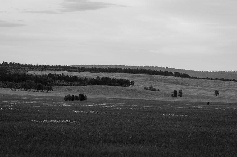 Photograph by Дмитрий Зуев