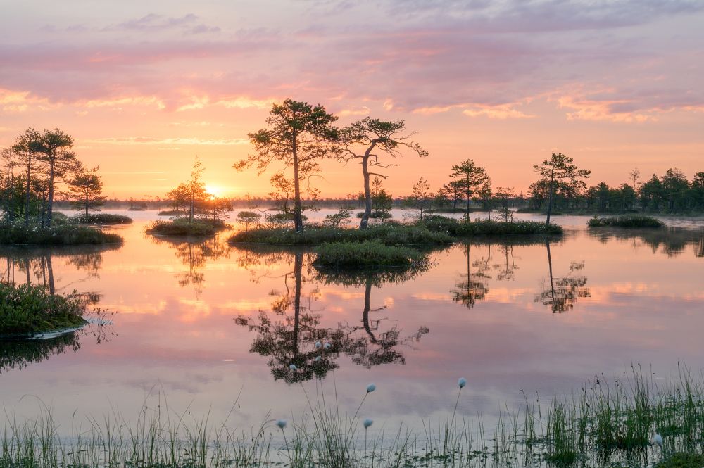 Photograph by Олег Иваницкий