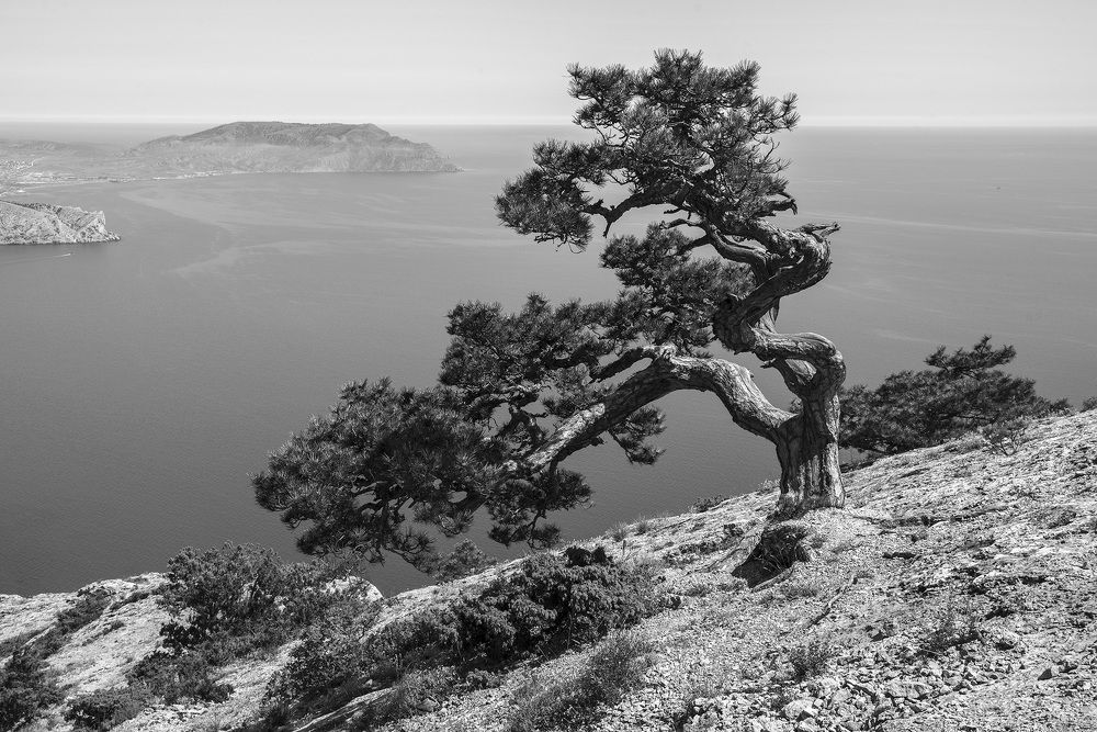 Photograph by Виктор Филипчук