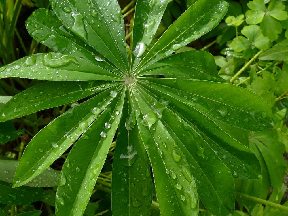 Photograph by Александр Кизим