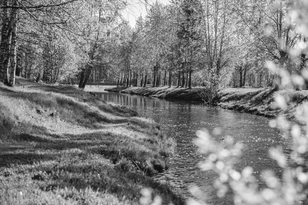 Photograph by Ольга Ильина